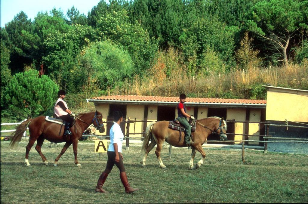 Antico Colle Toscano Resort Arcidosso Extérieur photo